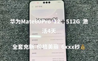 激活手机电池的正确方法（通过正确的激活方式提高手机电池寿命）