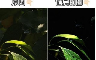 手机修图，让照片更美丽（通过手机修图软件，轻松提升照片质量，展现美好一面）