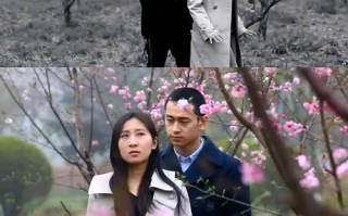 以至睿睿能vp500怎么样？（全面评测与分析，为您带来真实体验！）