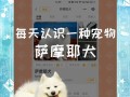 萨摩耶幼犬训练的有效方法（打造快乐宠物生活，享受与萨摩耶互动的乐趣）