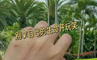 手机病毒的危害与防范（探索手机病毒的传播方式和预防策略）