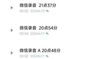 手机录音剪辑处理方法大全（让你的录音更完美，轻松剪辑处理技巧一网打尽！）