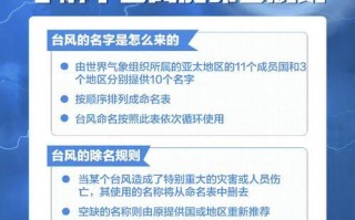 国际台风命名规则（揭秘国际台风命名规则的来龙去脉与作用）