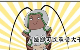 踩蟑螂的后果与影响（揭秘踩蟑螂对人类健康和环境的危害）