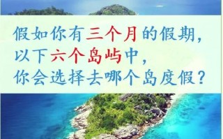 MutucuK1手机详细评测（探索MutucuK1的性能和功能，解密这款手机的亮点和缺点）