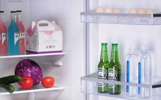 冰箱600A超载后的影响（揭秘冰箱600A超载带来的问题与解决方法）
