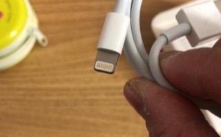 以品盛苹果数据线的品质和性能如何？（了解以品盛苹果数据线的优势和用户体验）