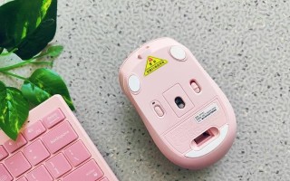 双飞燕9500F（探索速度与舒适的最佳选择）