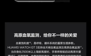 3Gt同性价值的探讨（解析3Gt同性价值的重要性和影响力）