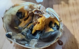探索苹果48G的功能和性能（一款性的手机产品）