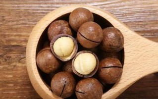 坚果2的市场表现如何？（评估坚果2的销售情况及用户反馈）
