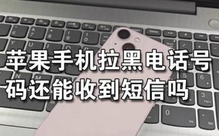 苹果手机收不到短信的解决方法（探究苹果手机无法接收短信的原因及解决方案）