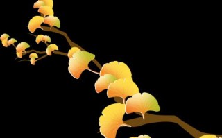 在Mac上使用U盘安装Windows系统的详细教程（利用BootCamp助您在Mac上轻松安装Windows系统）