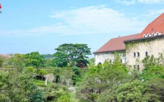 华为大学（打造一流教育平台，助力未来科技发展）