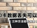 SD卡数据恢复最简单的修复方法（一步步教你轻松恢复丢失的数据）