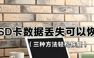 SD卡数据恢复最简单的修复方法（一步步教你轻松恢复丢失的数据）