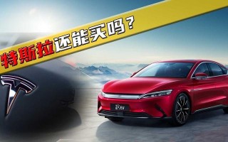 特斯拉（电动汽车巨头的崛起与挑战）