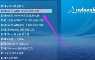 从U盘启动PE进行装机教程（一步步教你如何使用U盘启动PE来进行电脑装机）