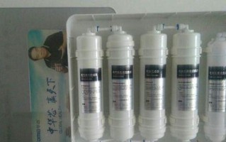 华迈净水器的优势与特点（打造健康纯净的生活用水环境）