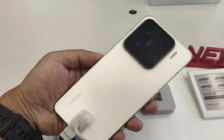 荣耀8与小米系统之间的较量（探究两大旗舰手机系统的优劣对比）