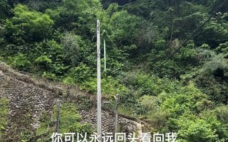 以手机怎样截取小视频（手机截取小视频的技巧与方法）