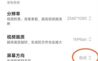 小米果手机评测（小米果手机的关键特点及用户体验）