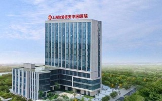 8705酷派的性能与用户体验（探索8705酷派的功能与优势）