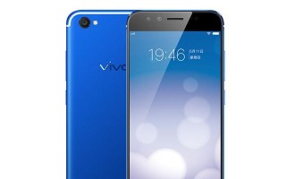 VivoX9s（拥有出色拍照能力的VivoX9s，让你成为摄影达人）