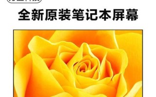 戴尔14s4528笔记本电脑的综合评测（性能出色、轻薄便携、超长续航——戴尔14s4528是你的理想之选）