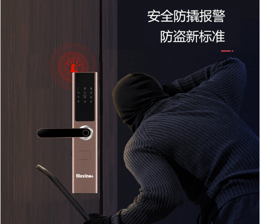 智能门锁的安全设置（防止未经授权的访问）-第2张图片-数科之翼