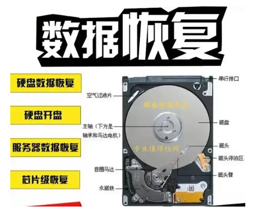 电脑硬盘损坏的数据恢复方案（挽救资料方法）-第1张图片-数科之翼