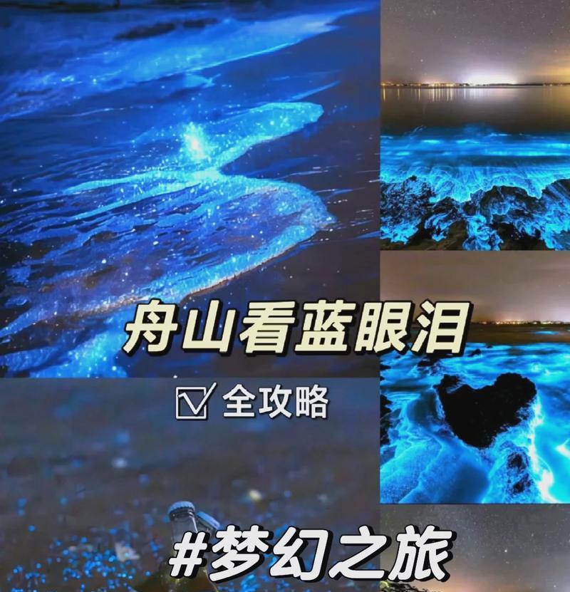 VivoX5（探索VivoX5的卓越性能与出众功能）-第3张图片-数科之翼