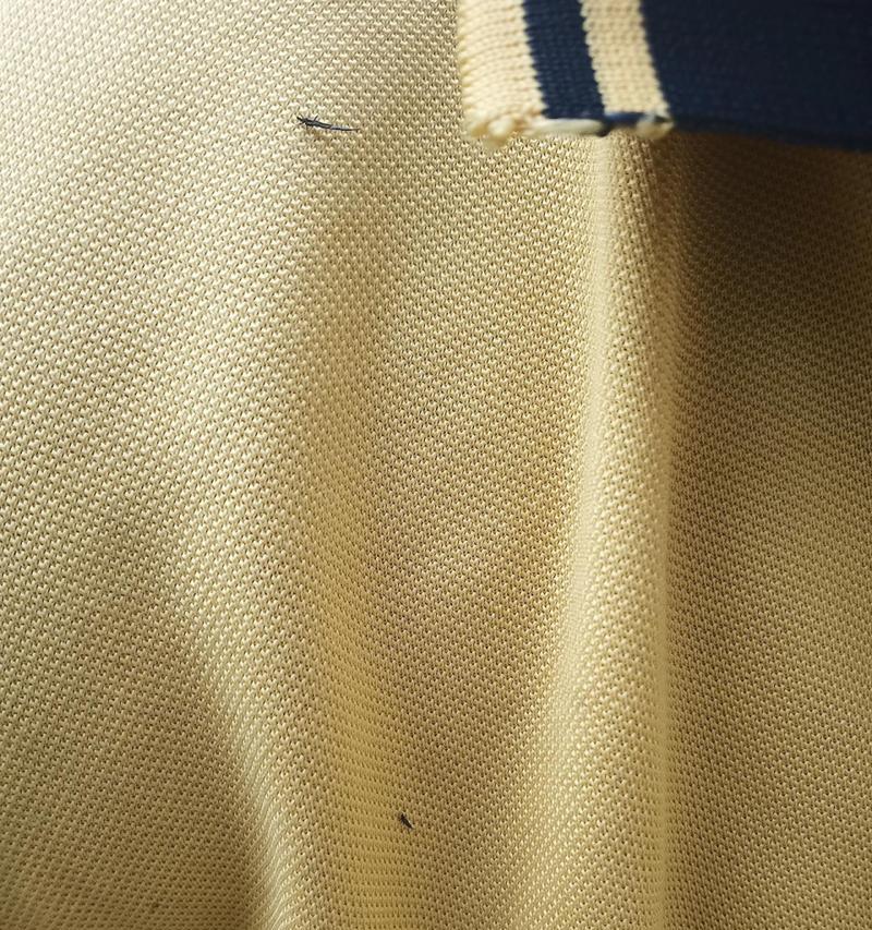 黄色衣服（探索黄色衣服与昆虫之间的关系，解析避免招引昆虫的方法。）-第1张图片-数科之翼