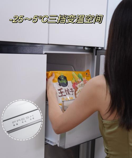 探索海信BCD一171FA的性能与特点（海信BCD一171FA——领先科技与卓越品质的结合）-第1张图片-数科之翼