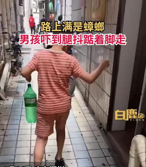 踩蟑螂的后果与影响（揭秘踩蟑螂对人类健康和环境的危害）-第3张图片-数科之翼