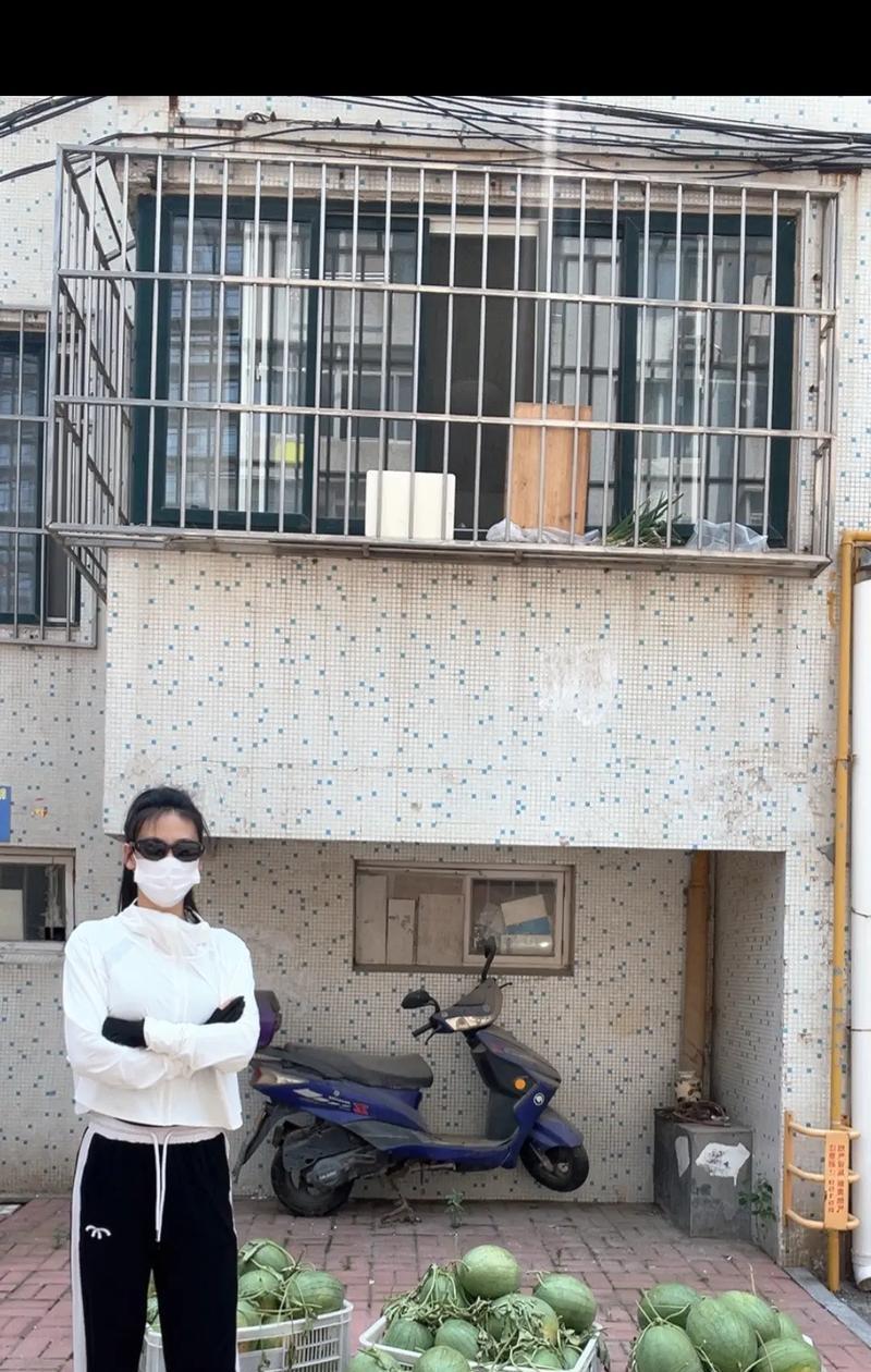 以西瓜影音的使用体验（探索西瓜影音的功能和特点）-第2张图片-数科之翼
