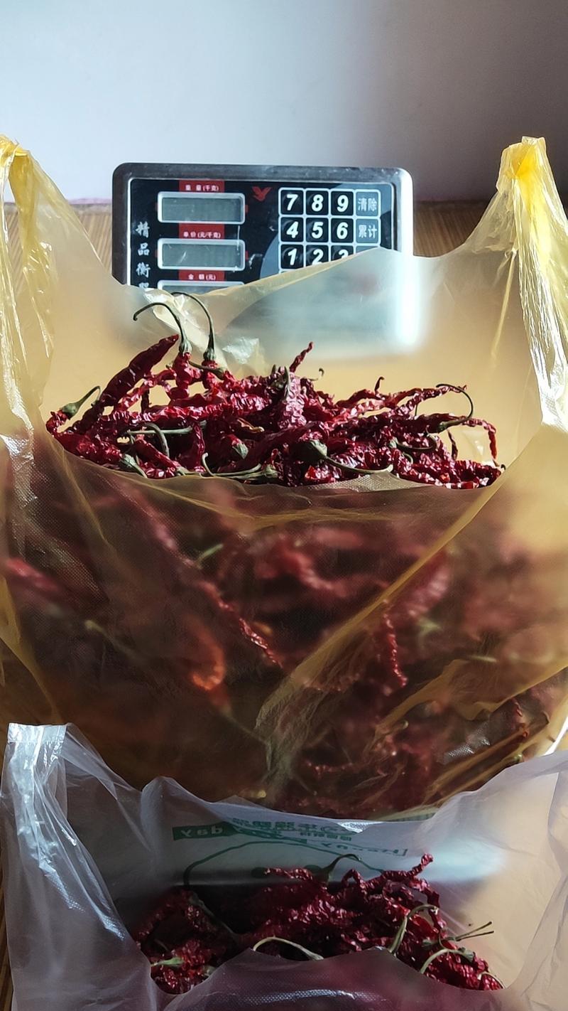 红辣椒Q5手机评测（探索红辣椒Q5手机的功能与性能表现）-第3张图片-数科之翼