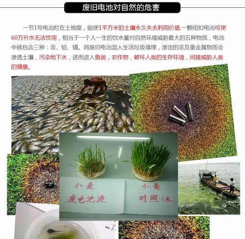 Aellex充电电池的性能评测与用户体验（高效充电、长续航、安全可靠，Aellex充电电池助力智能生活）-第2张图片-数科之翼