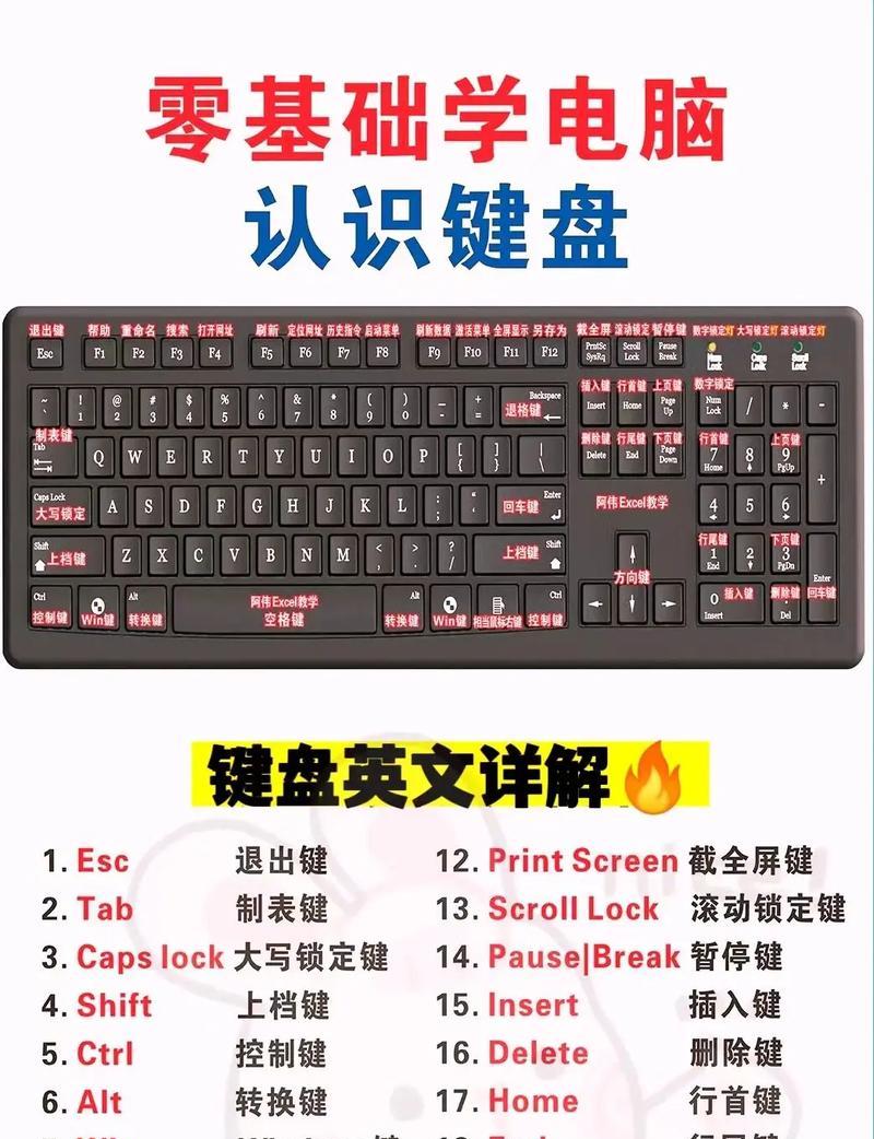 轻松学电脑的秘诀（掌握电脑技能的最简单方法）-第3张图片-数科之翼
