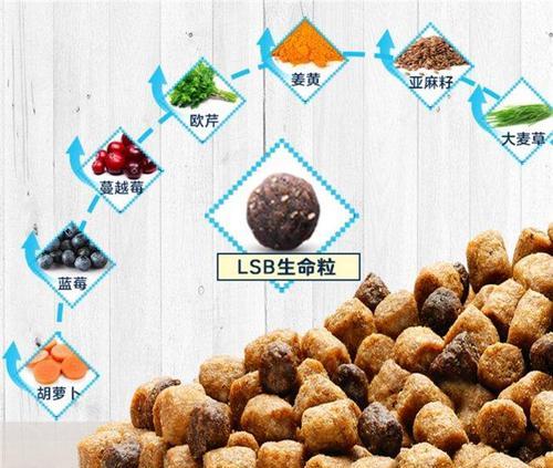 大猫电商（以创新驱动，引领电商潮流的大猫电商）-第2张图片-数科之翼