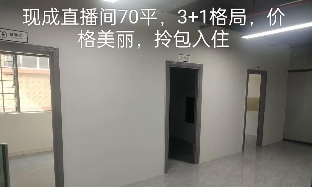 以有间电商的创新模式助力电子商务发展（深度剖析以有间电商的商业模式与运作机制）-第1张图片-数科之翼