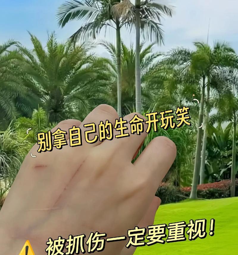 手机病毒的危害与防范（探索手机病毒的传播方式和预防策略）-第1张图片-数科之翼