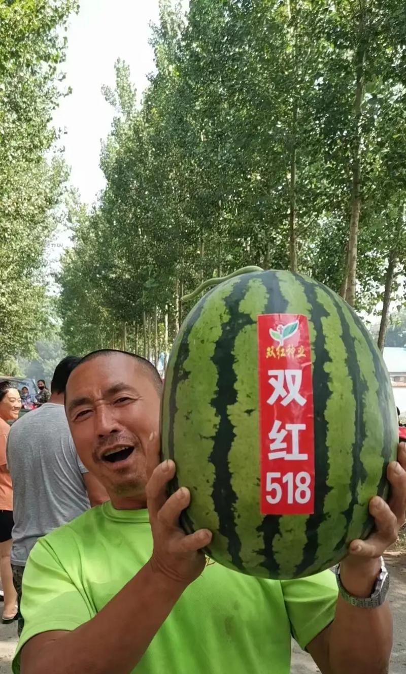 以西瓜影音怎么样？（全方位影音娱乐平台的使用体验分享）-第1张图片-数科之翼