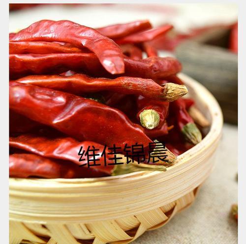 红辣椒Q5的优点和性能介绍（解析红辣椒Q5的创新功能和出色表现）-第2张图片-数科之翼