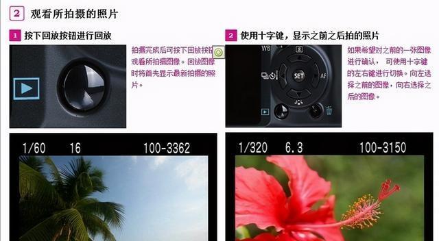 探秘荣耀9相机的卓越表现（突破创新助力你成为摄影高手）-第2张图片-数科之翼