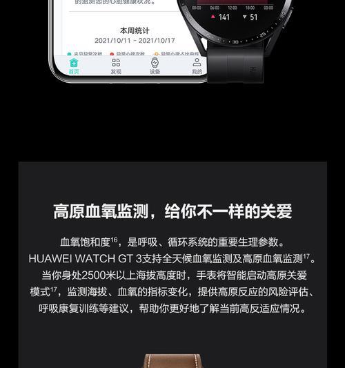 3Gt同性价值的探讨（解析3Gt同性价值的重要性和影响力）-第1张图片-数科之翼