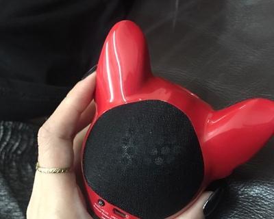 Jarre斗牛犬音响的声音表现如何？（探索Jarre斗牛犬音响的独特特点和卓越品质）-第3张图片-数科之翼