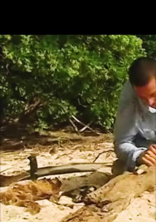 探索以太平洋小刀鱼线的优势与特点（揭秘以太平洋小刀鱼线的海洋魅力）-第1张图片-数科之翼