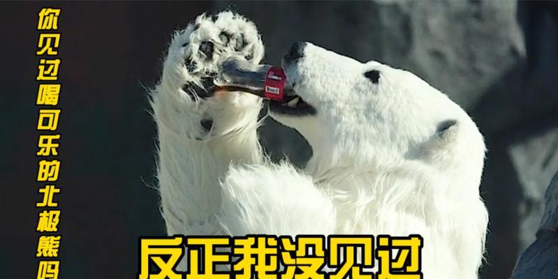 当狗喝了可乐后会发生什么？（探究狗喝可乐的影响以及可能的危害）-第3张图片-数科之翼