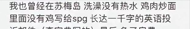 王思聪的英语水平如何？（探究中国富豪王思聪在英语方面的表现与努力程度）-第1张图片-数科之翼